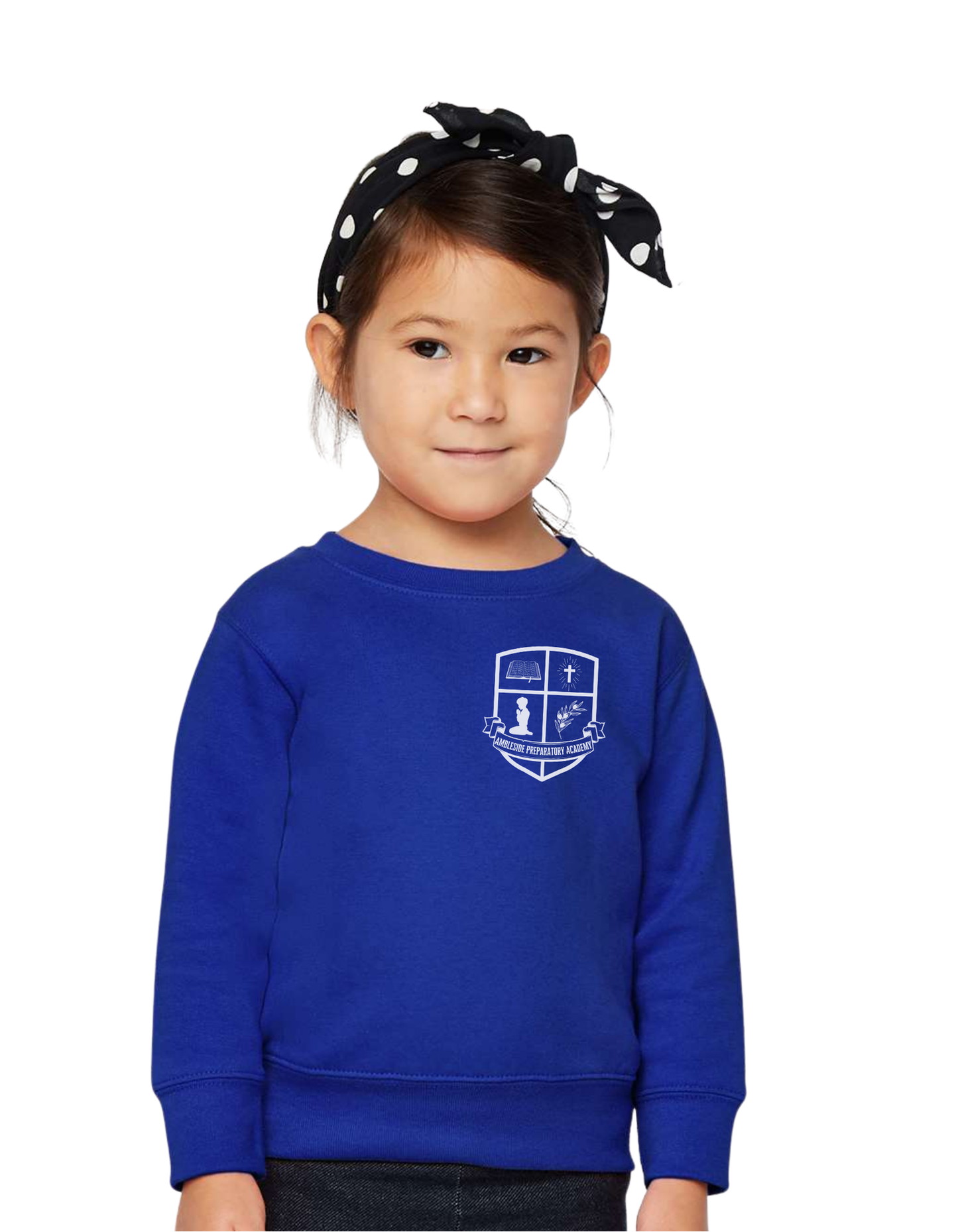 Ambleside TODDLER Sweatshirts - crew neck - (PRE-ORDER)